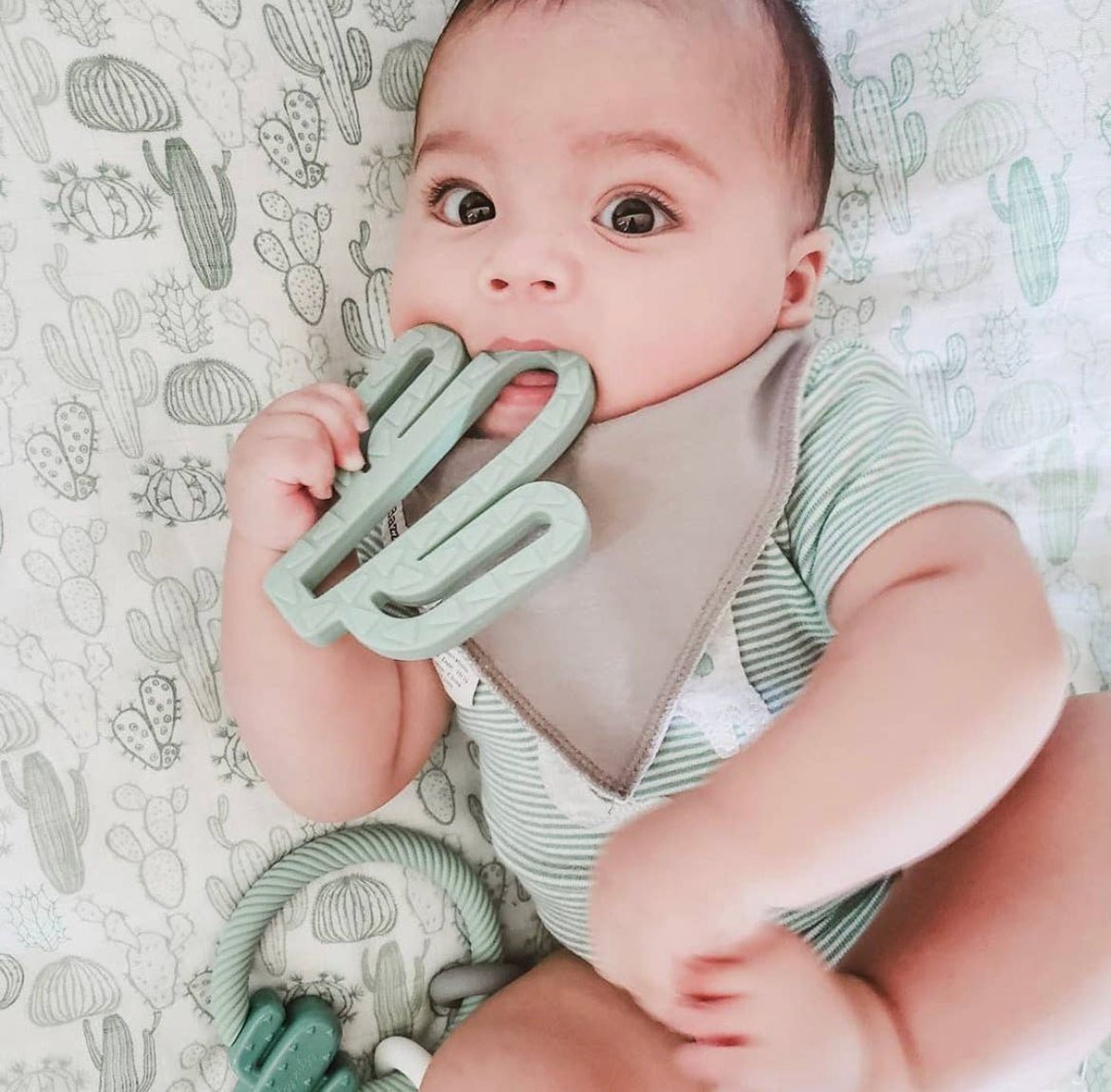 Chew Chew Cactus Silicone Baby Teether - The Bump & Company LLC
